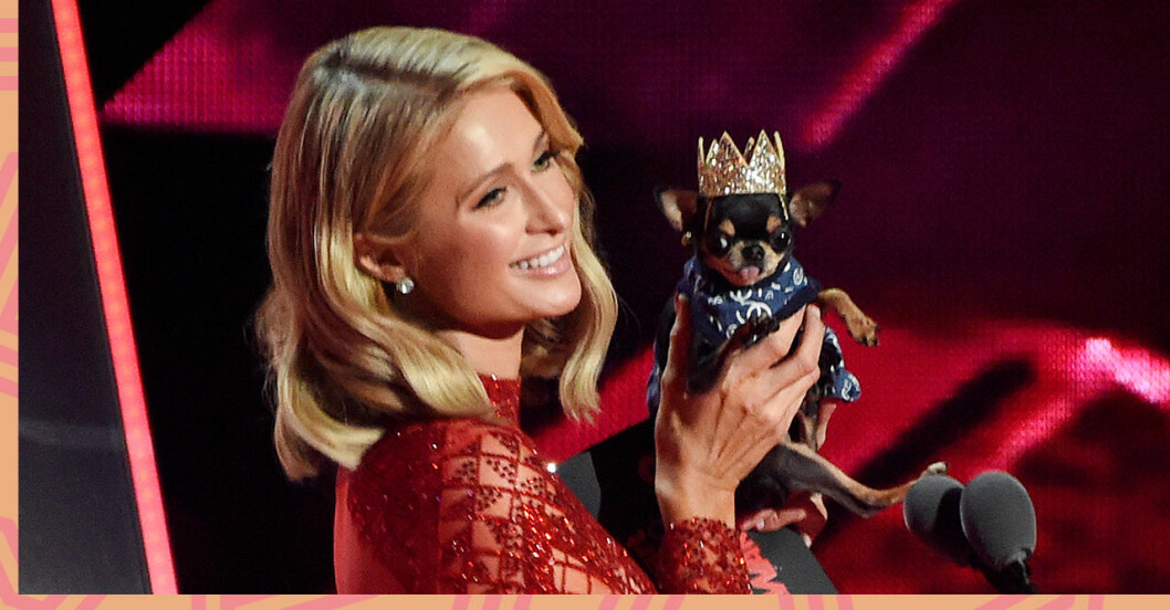Paris Hilton och Diamond Baby presenterade priset för sötaste musikershunden på iHeart radions gala.
