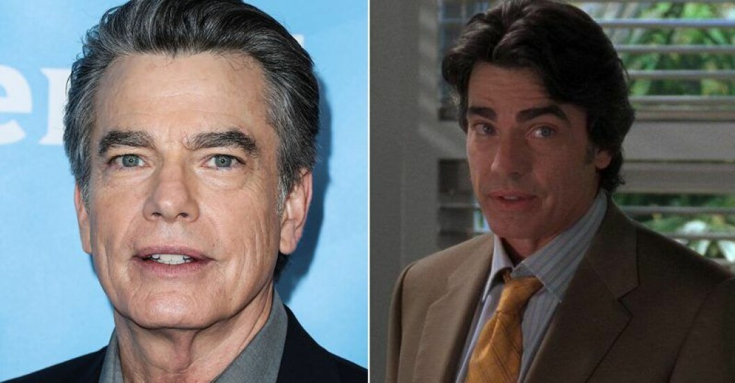 Peter Gallagher, som spelade rollen som Sandy Cohen, fyller 65 år i augusti. Peter Gallagher, som spelade rollen som Sandy Cohen