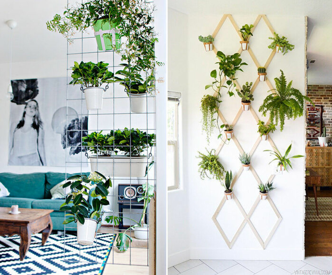 Växter från golv till tak – en av inredningstrenderna 2019 på Pinterest