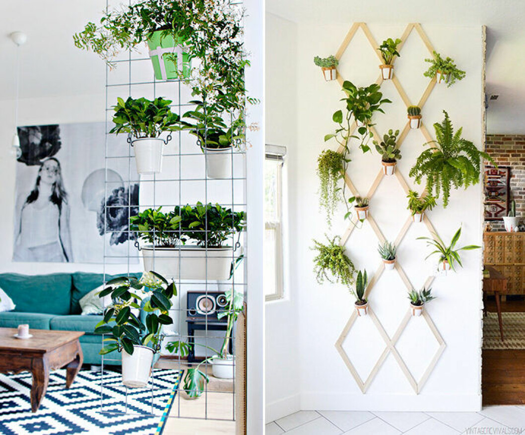 Grönt från golv till tak ger karaktär och liv till inredningen. Foto via: <a href="https://www.lanaredstudio.com/2016/03/green-diy-wall-planter.html" target="_blank" rel="noopener">Lana Red Studio</a> & <a href="https://vintagerevivals.com/diy-wood-and-leather-trellis-plant-wall/" target="_blank" rel="noopener">Vintage Revivals</a> Växter från golv till tak – en av inredningstrenderna 2019 på Pinterest