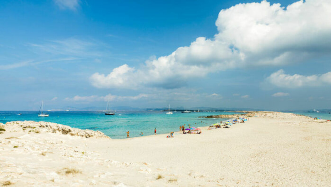 Strandtips: Playa de Ses Illetes, Spanien