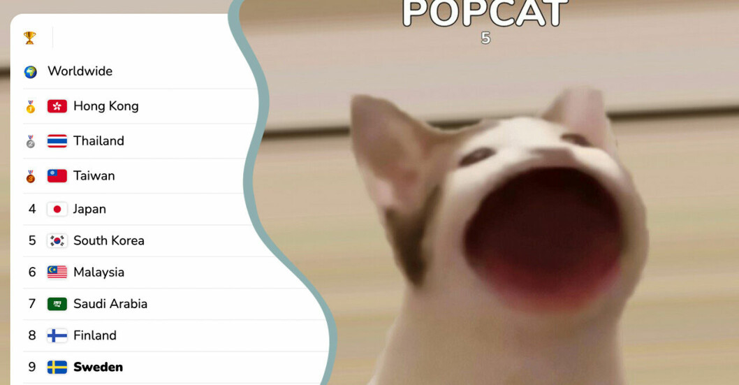 popcat-trenden 2021.