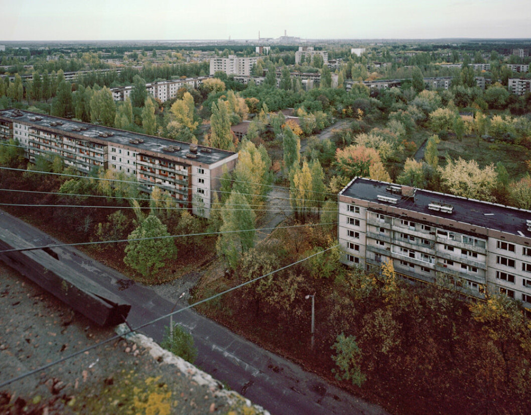 Ett igenvuxet Pripjet vid Tjernobyl.