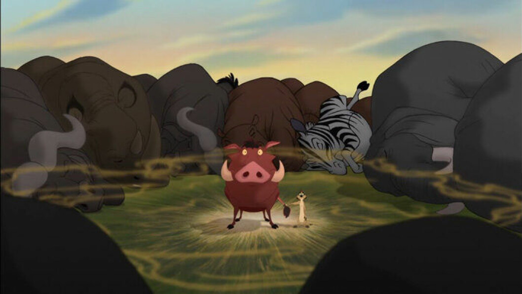 Pumba fiser