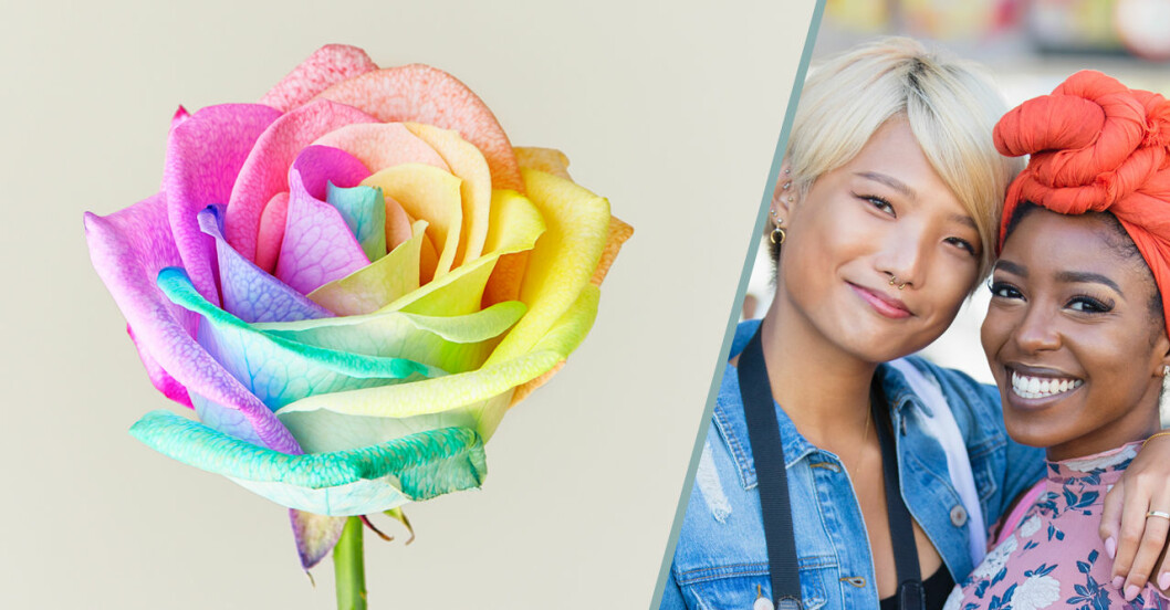 Så gör du en regnbågsfärgad Pride-ros (och här kan du köpa en)