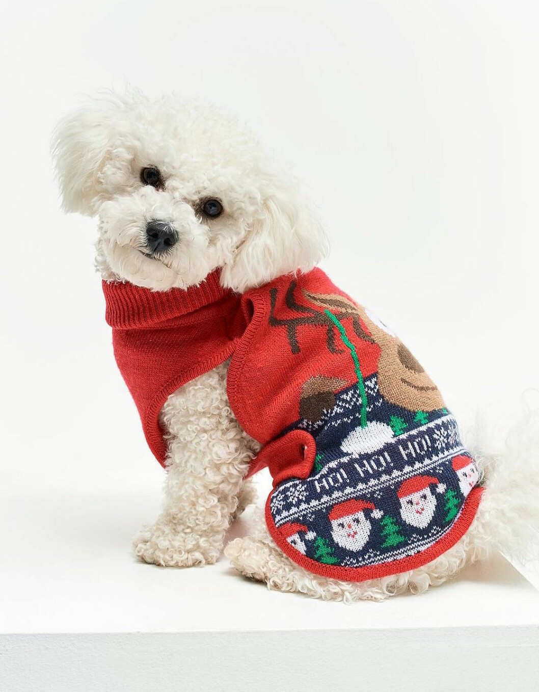 Stickad röd jultröja till hunden inför julen 2019