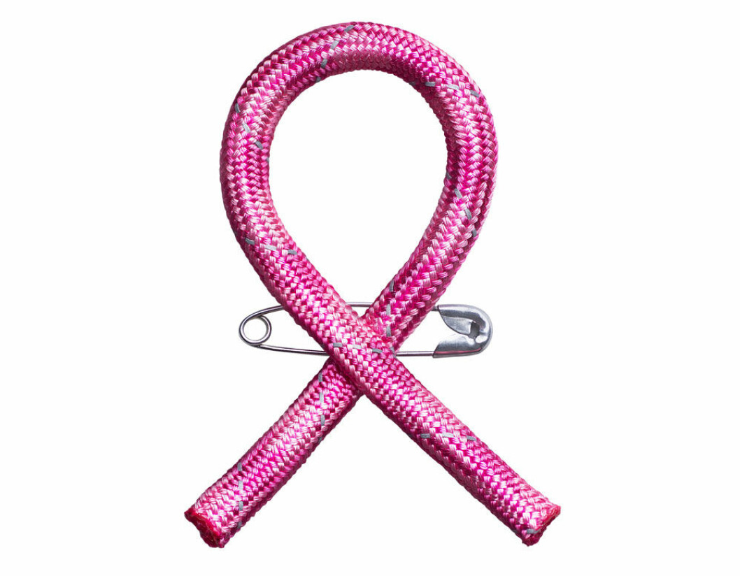 Årets Rosa band är ett litet rep. Årets Rosa Bandet är ett litet rep.