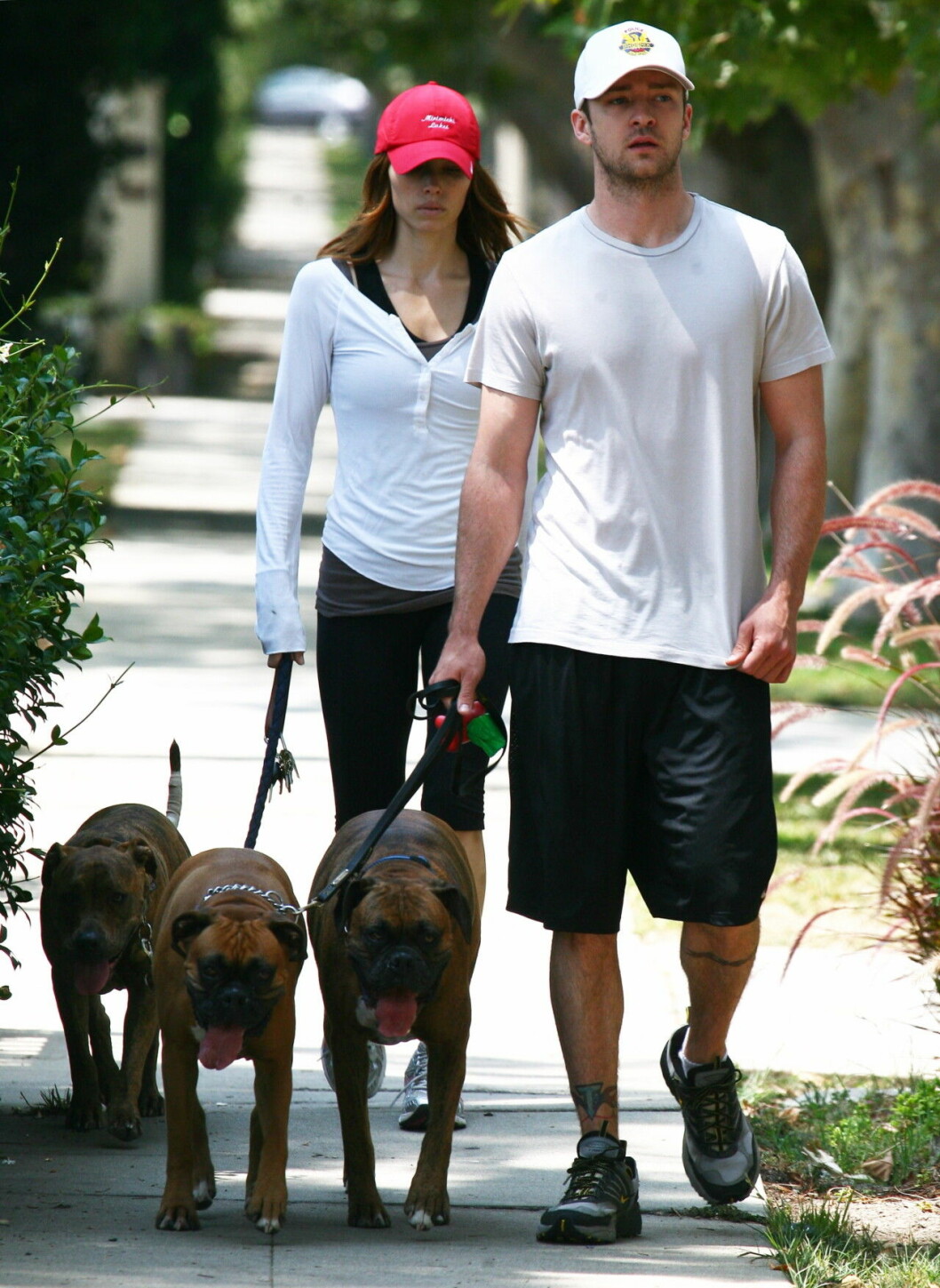 Justin Timberlake och Jessica Biel på hundpromenad