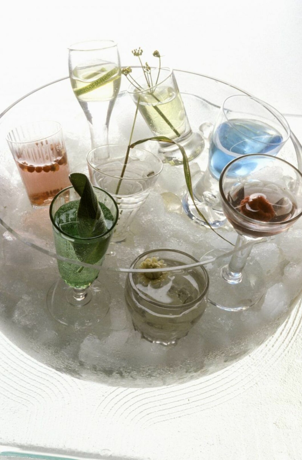 Cocktails på kylning