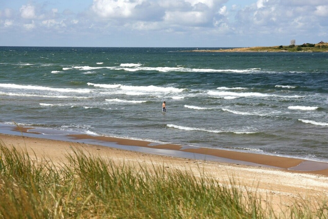 <em>Vågor vid Tylösands badstrand.</em>