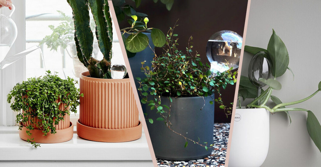 Vattna blommorna utan att vara hemma i sommar