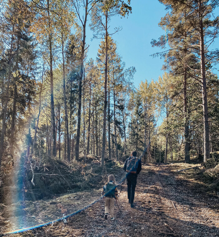 Två personer går i skogen, solen lyser.