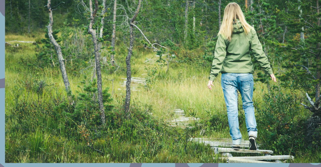 Kvinna i en skog som terapi