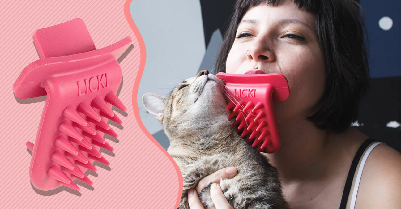 Licki tvätta din katt borste