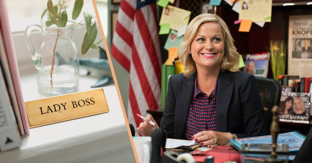 Leslie Knopes Parks and recreation