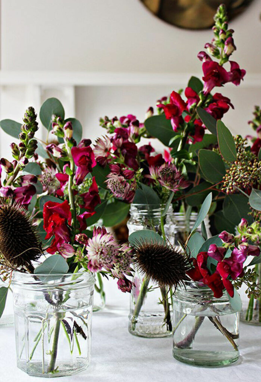 Julblommor i ny tappning – som passar hela vintern