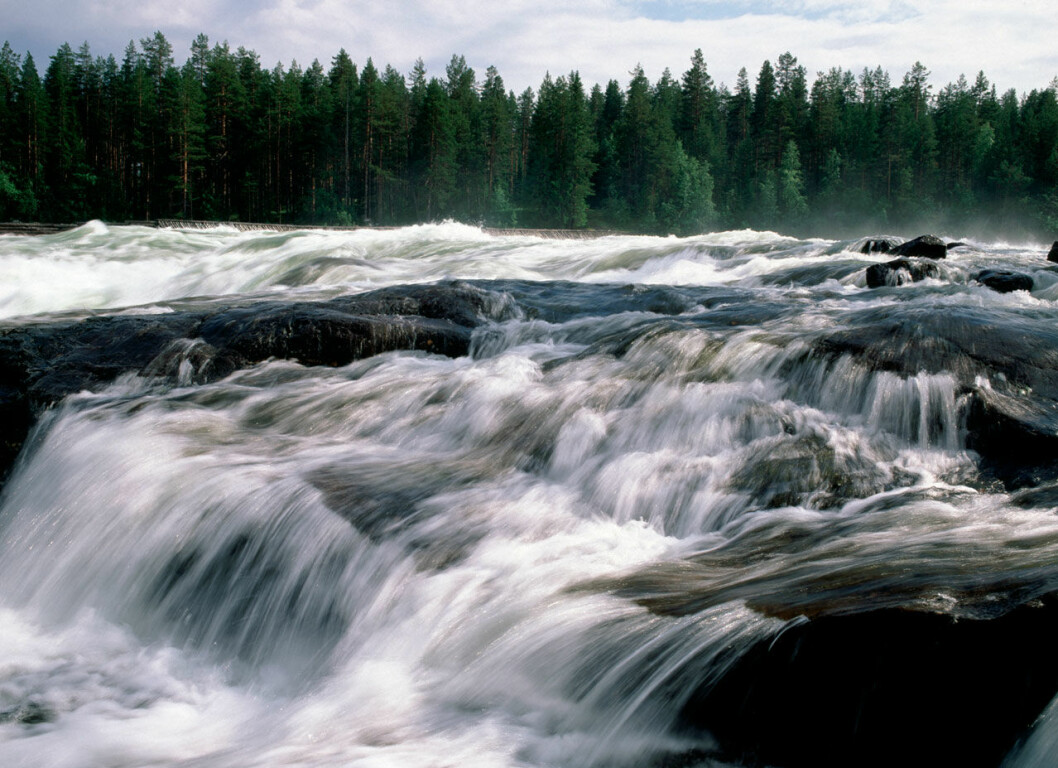 Foto: Bengt Olof Olsson/Bildhuset/TT Storforsen, Älvsbyns kommun