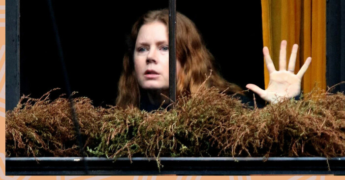 The woman in the window finns som film på Netflix.