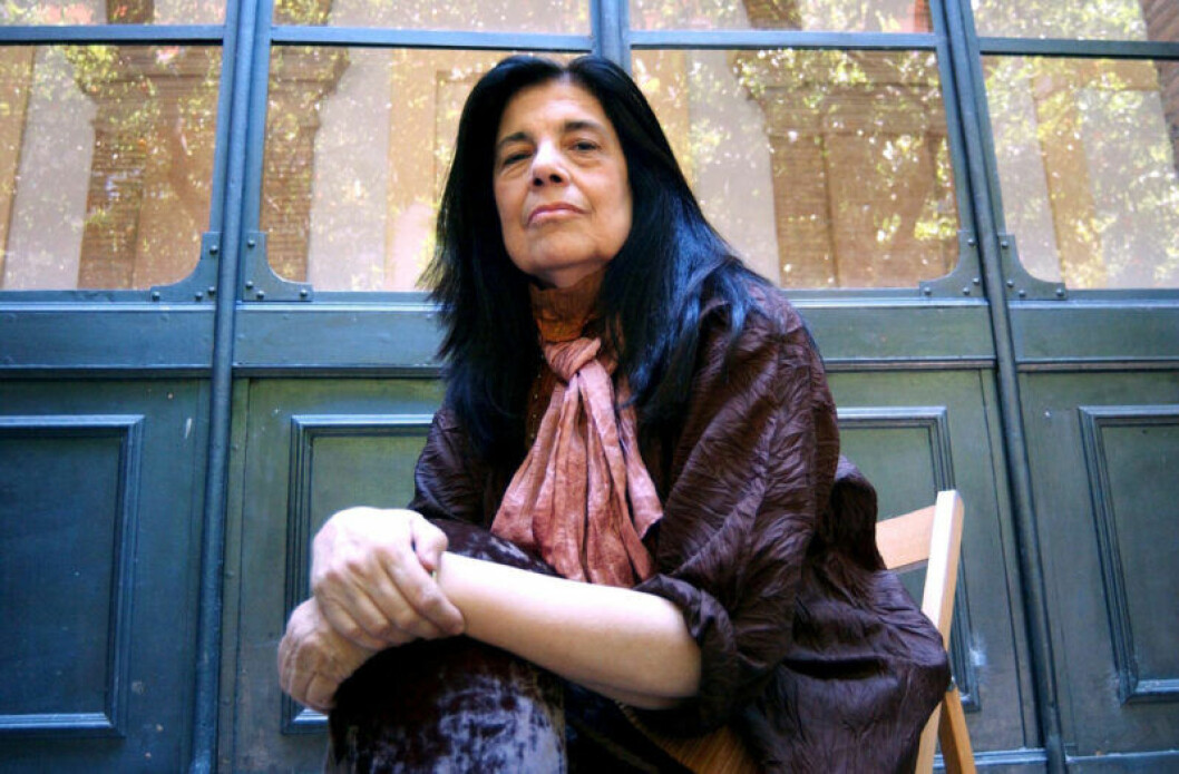 Författaren Susan Sontag levde mellan 1933 och 2004. Foto: Laura Antonelli/REX/TT Susan Sontag