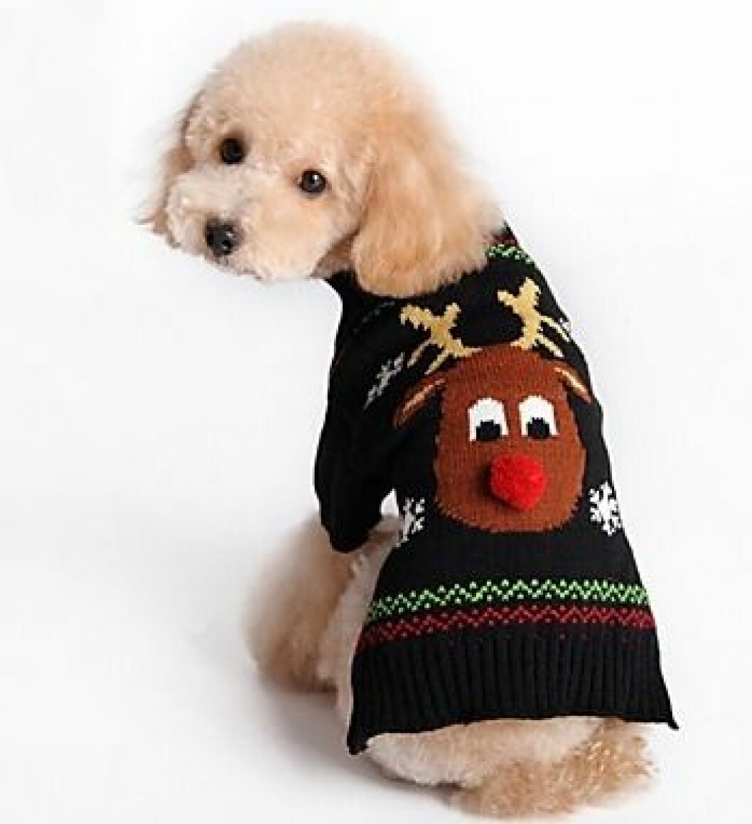 Svart jultröja för hunden till julen 2019