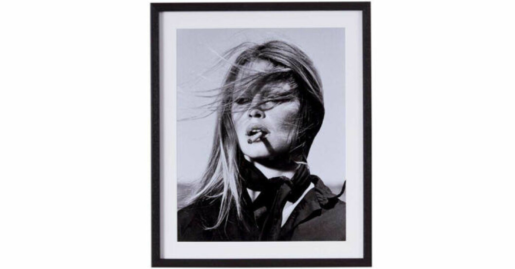 Tavla med med Brigitte Bardot 