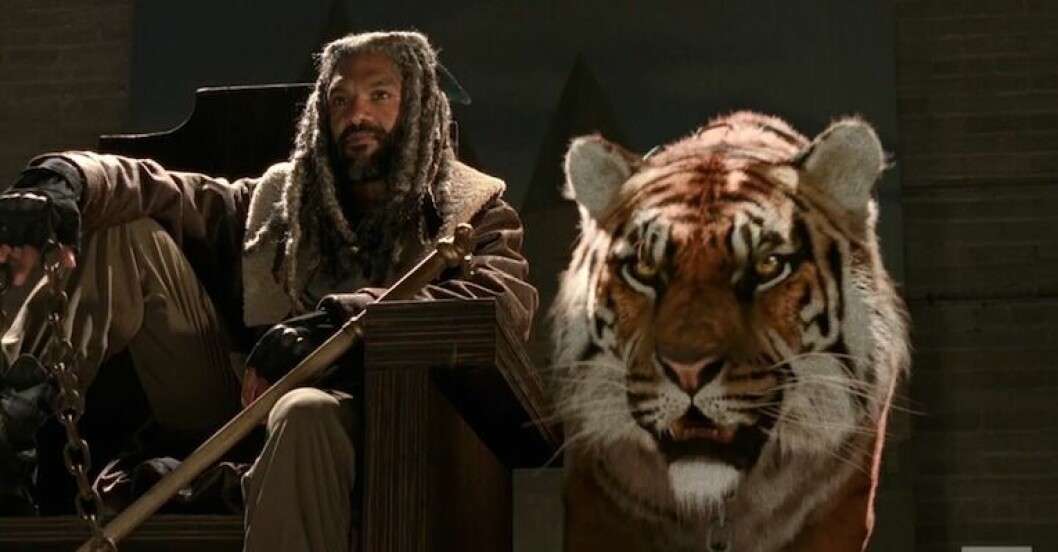 the walking dead