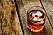 glass of whisky on a wood background