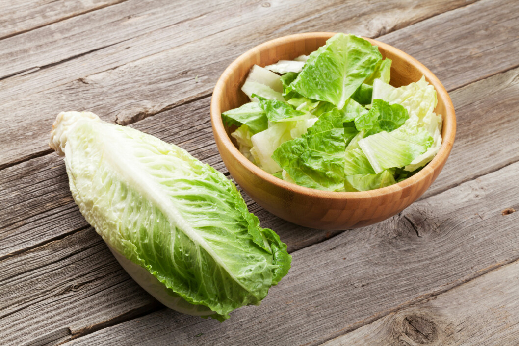 Fresh healthy romaine lettuce salad on wooden table