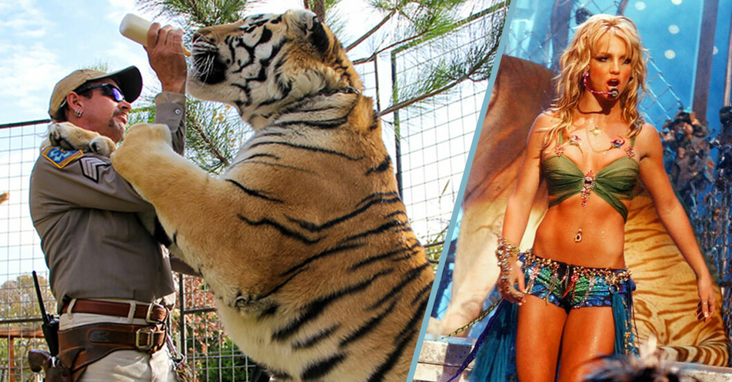 Tiger King Britney Spears