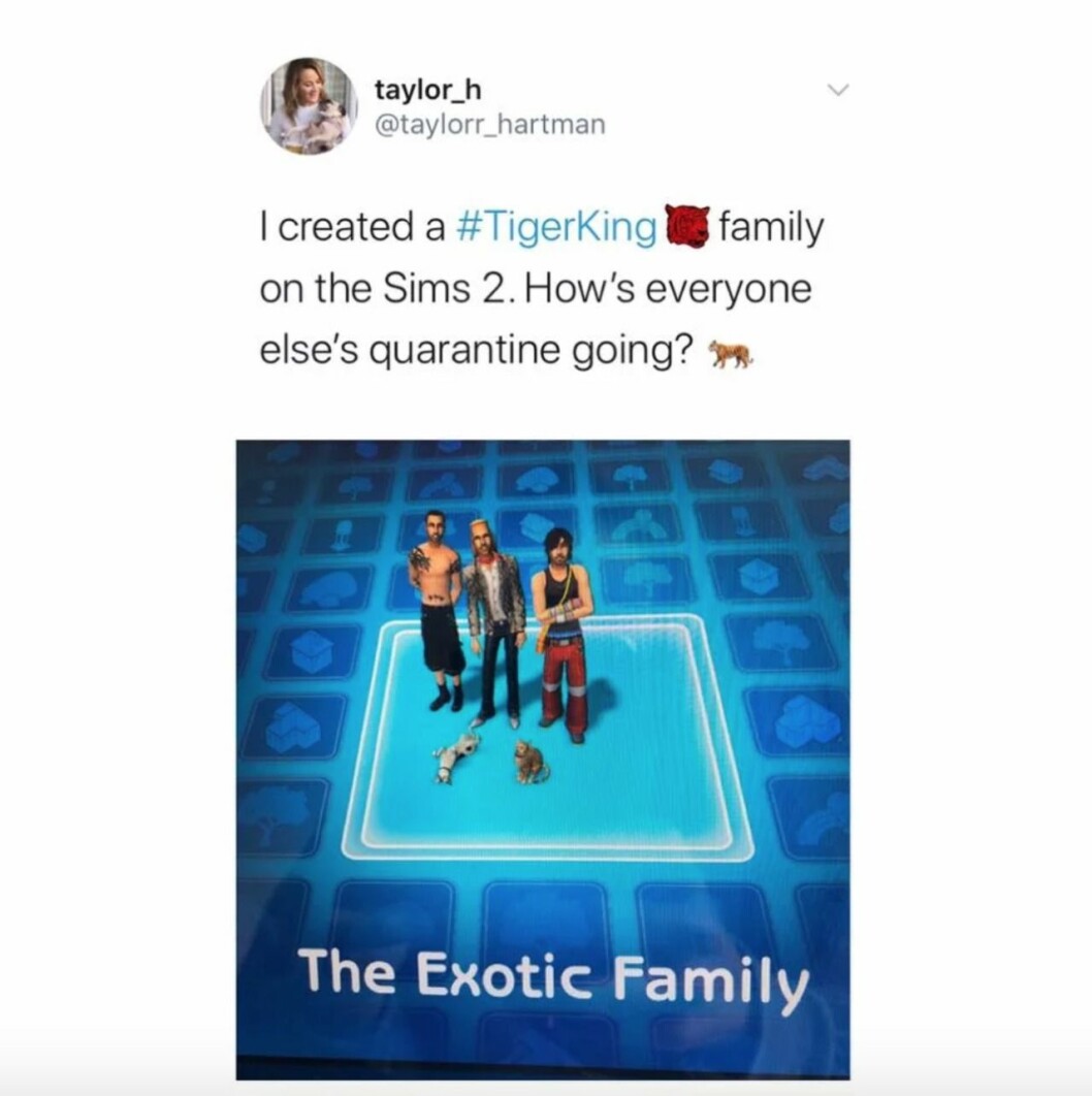 Tiger King the Sims