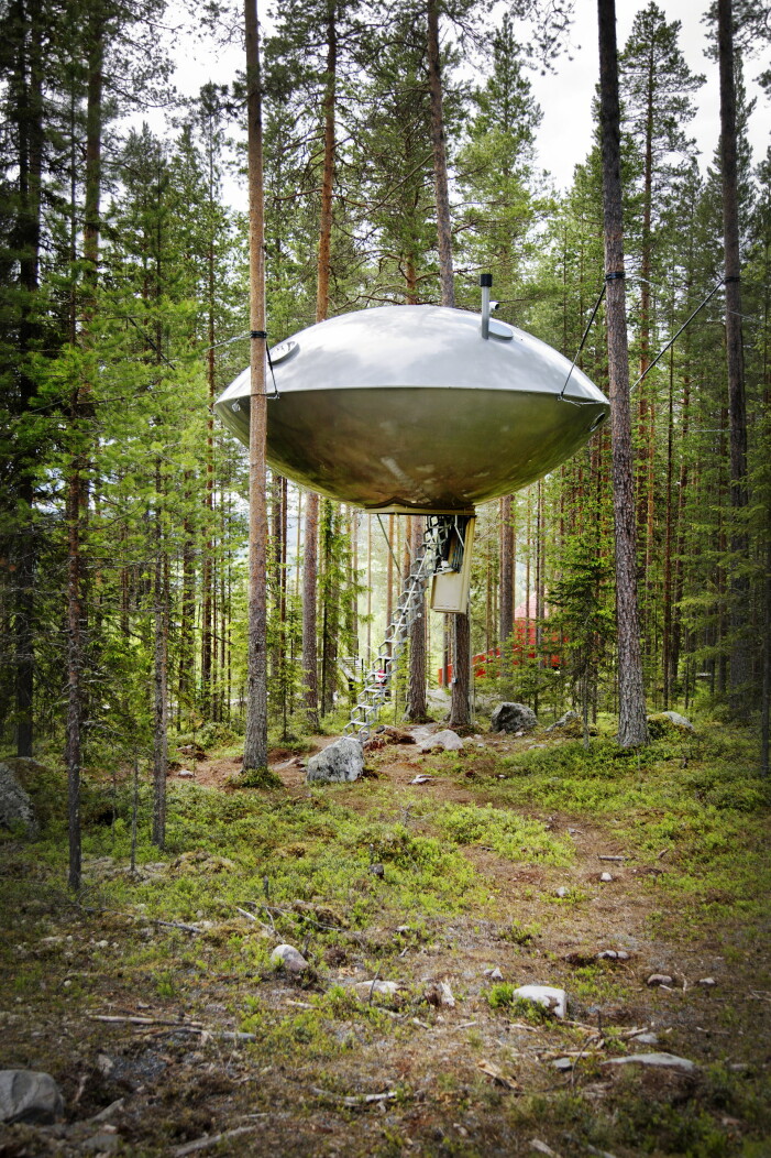 Ufo som hänger i träd