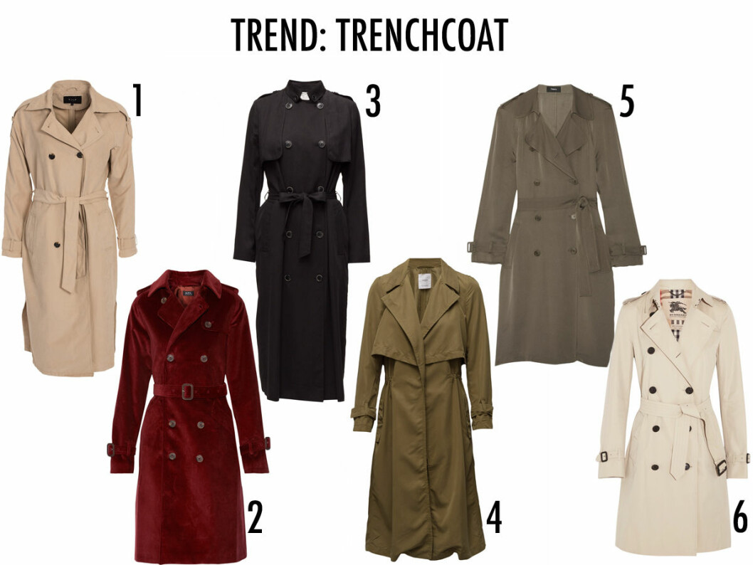 trenchcoat