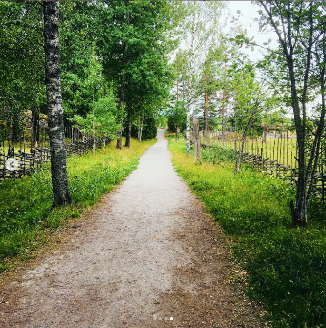 Tyresta nationalpark, vandring i Stockholm. Foto Mikaela Alex