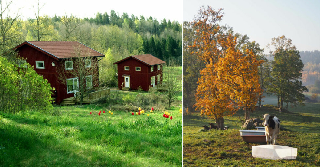 Pittoresk stuga i Valdemarsvik