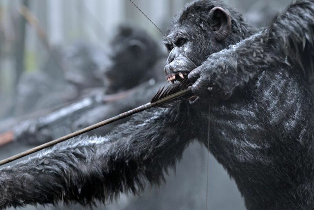 <em>War for the Planet of the Apes</em> kommer till Viaplay i maj. Foto: Viaplay War for the planet of the apes kommer till Viaplay i maj.