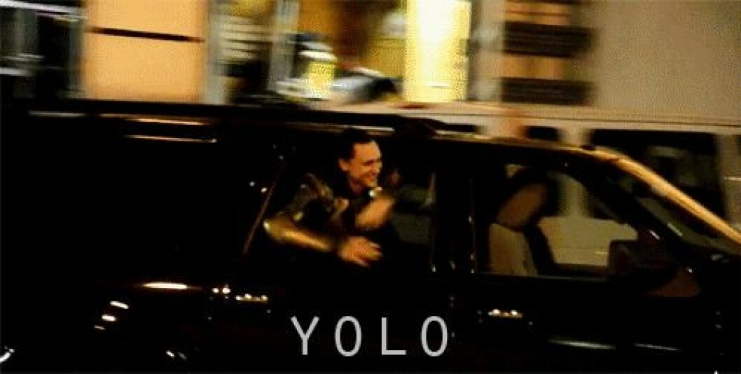 yolo